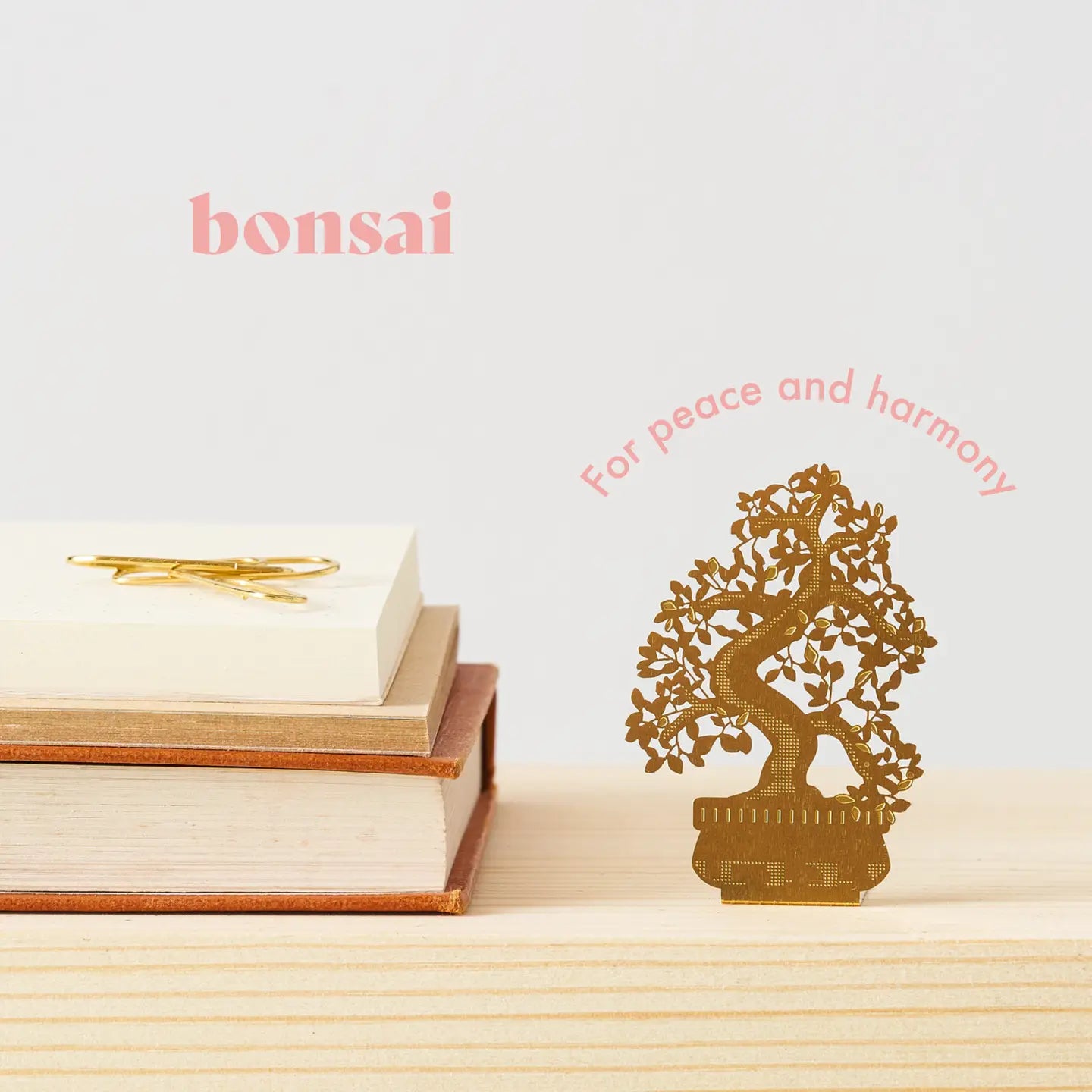 Tiny Bonsai Tree