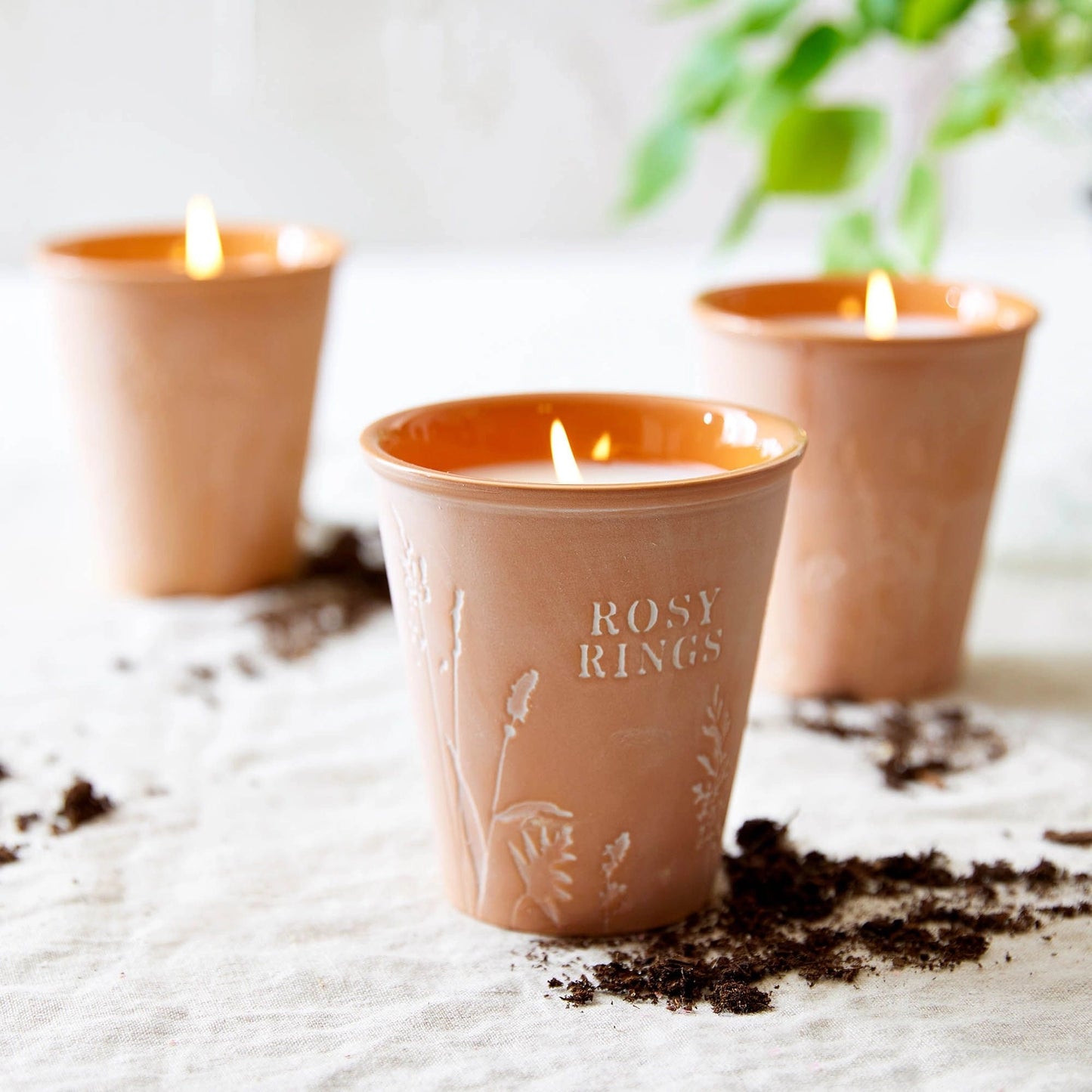 Garden Pot Candle - LEMON BLOSSOM & LYCHEE