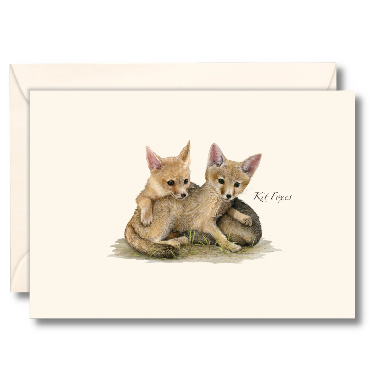 Kit Foxes Notecards