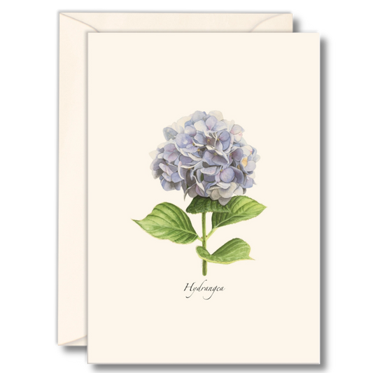 Hydrangea Notecard Set