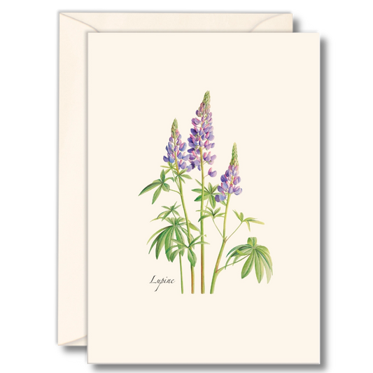 Lupine Notecard Set