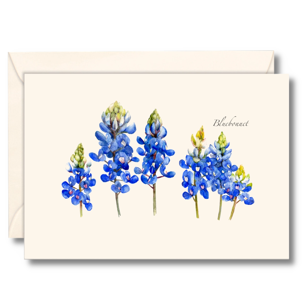 Bluebonnet Notecards