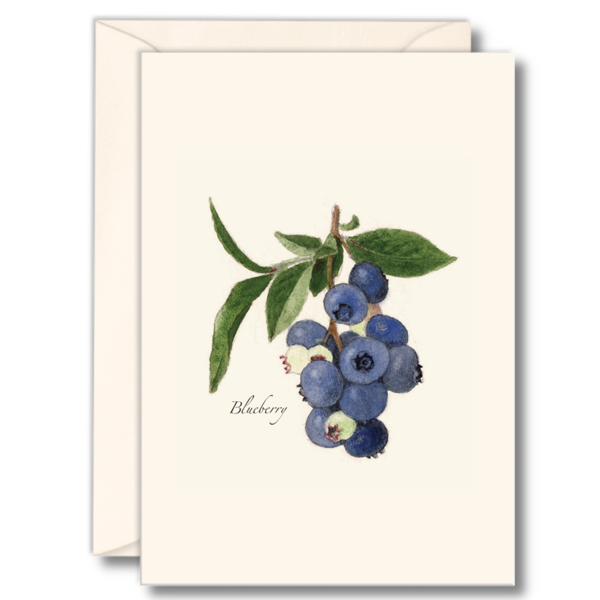 Blueberry Notecards