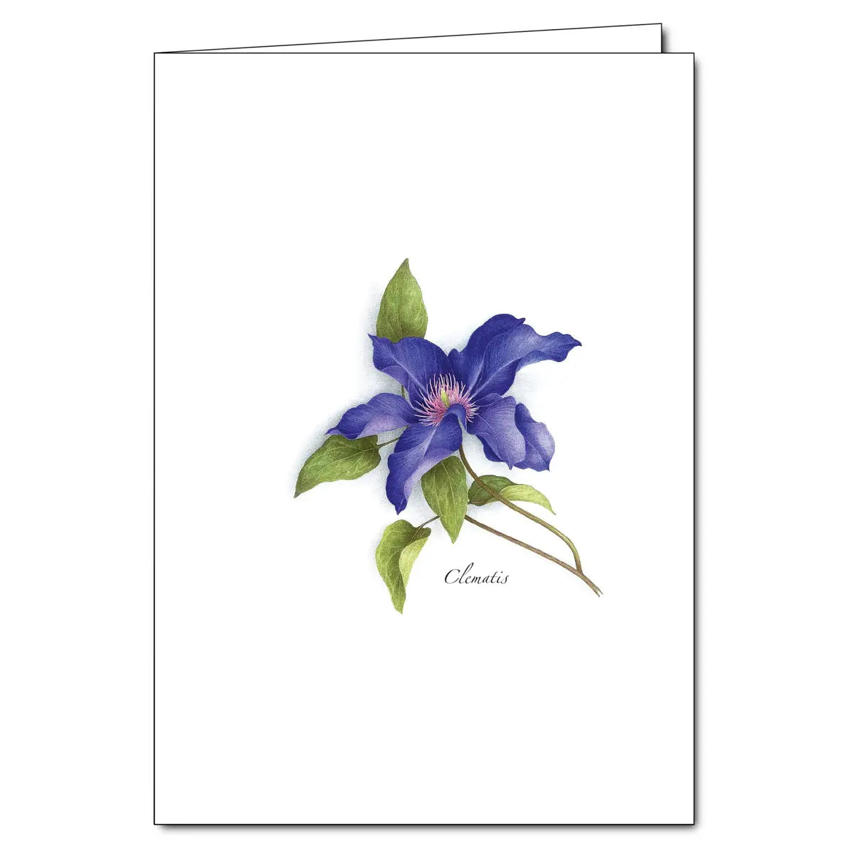 Clematis Card