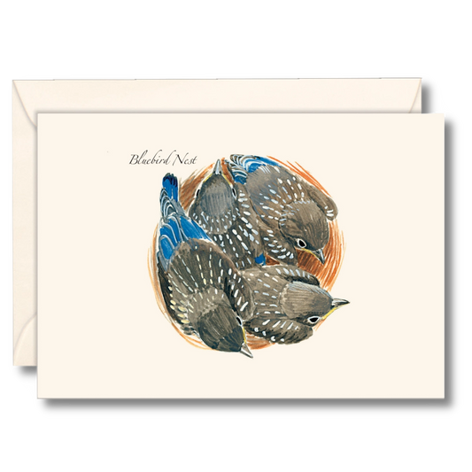 Bluebird Nest Notecards