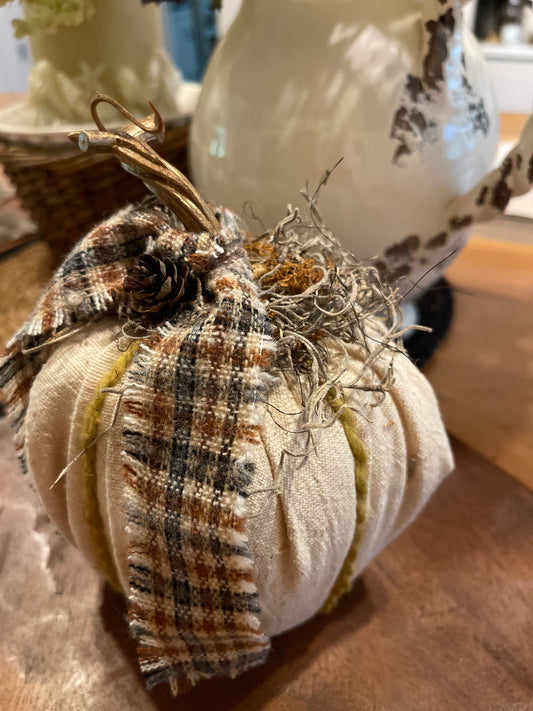 Creamy Neutral Pumpkin with Houndstooth Ribbon