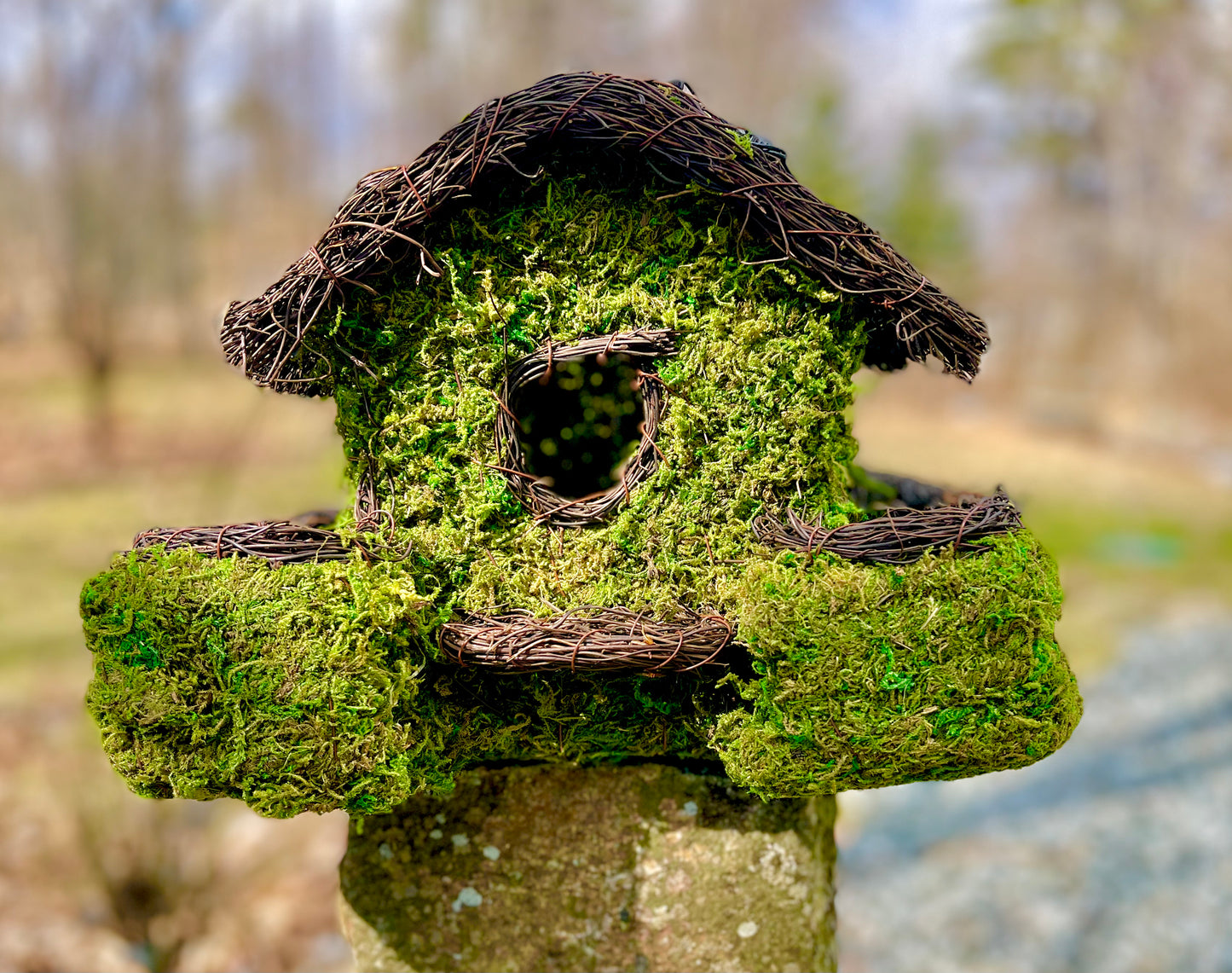 Plantable Maison Patio Birdhouse - SPRING  SALE