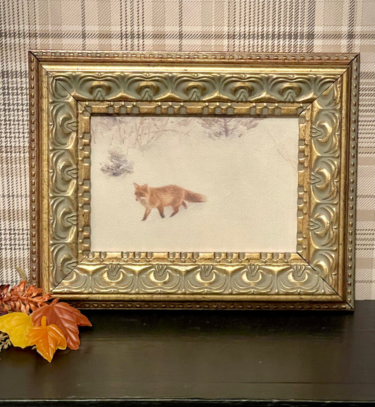 Fox in Winter - Framed Antique Art (7x5)