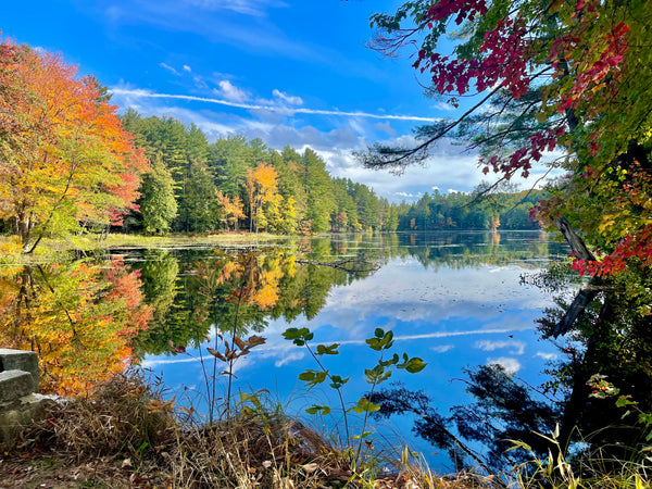My New England Story
