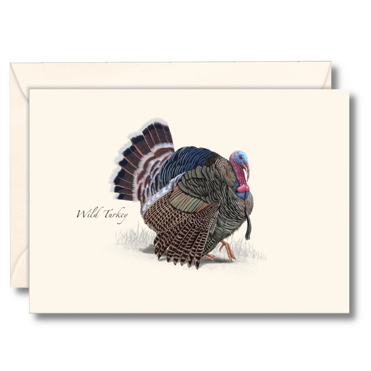 Wild Turkey Notecards