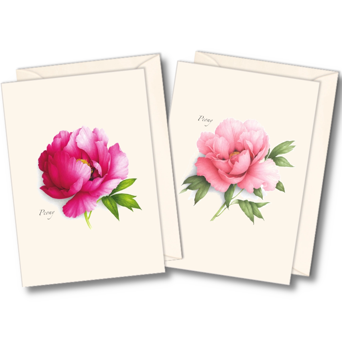 Peony Assortment of Notecards