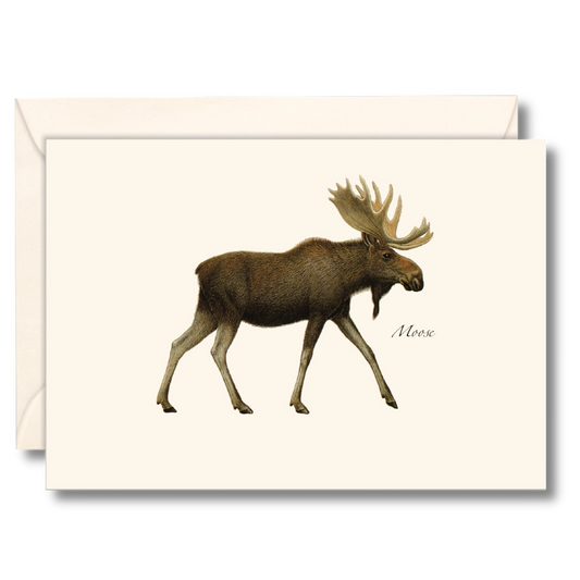 Moose Notecards